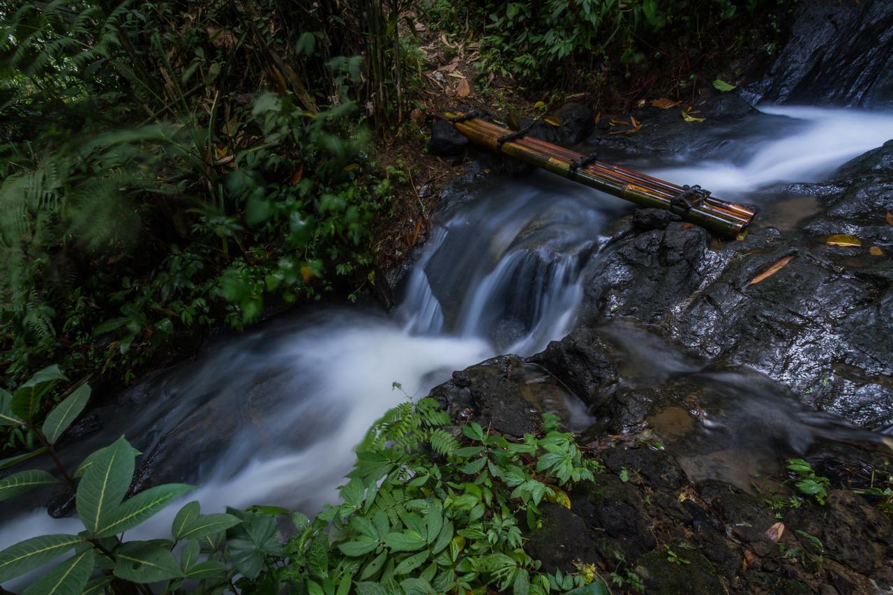 Bali Eco Adventure And Retreat Center 호텔 뜨갈랄랑 외부 사진