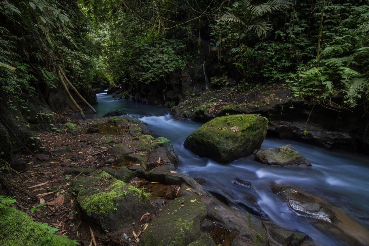 Bali Eco Adventure And Retreat Center 호텔 뜨갈랄랑 외부 사진