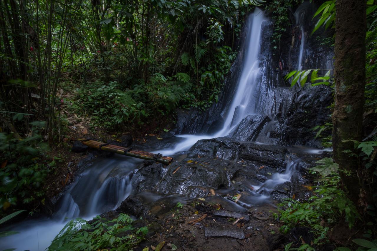 Bali Eco Adventure And Retreat Center 호텔 뜨갈랄랑 외부 사진